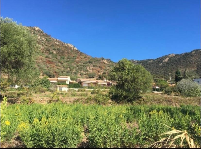 Au Petit Bonheur Vue Mer, Parking, 400M Plage Le Lavandou Kültér fotó
